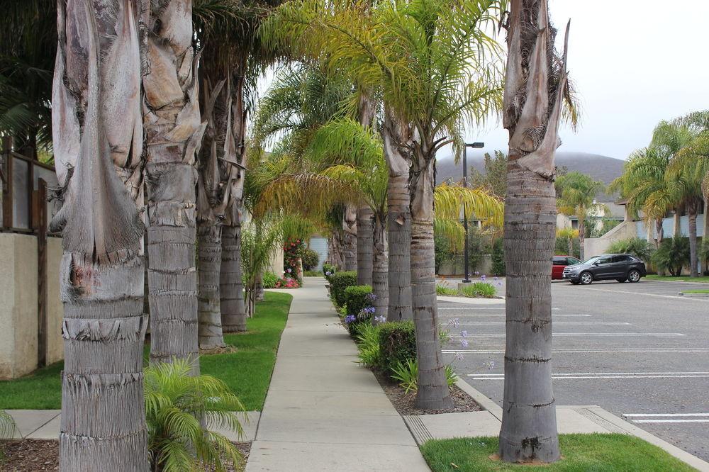 Red Roof Inn Lompoc Dış mekan fotoğraf